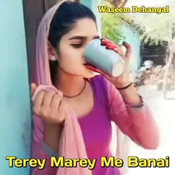 Terey Marey Me Banai